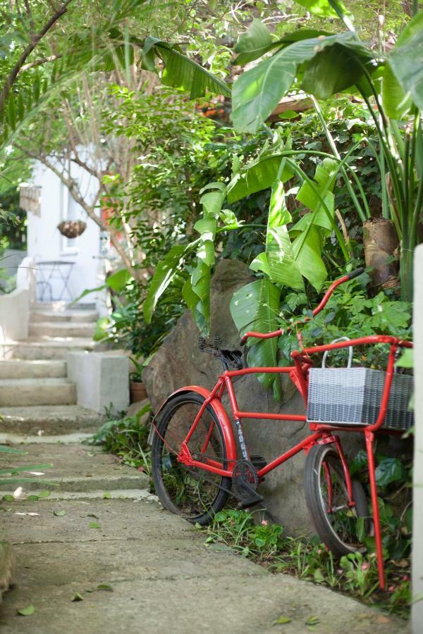 Little Forest Guest House Johannesburg Exterior foto